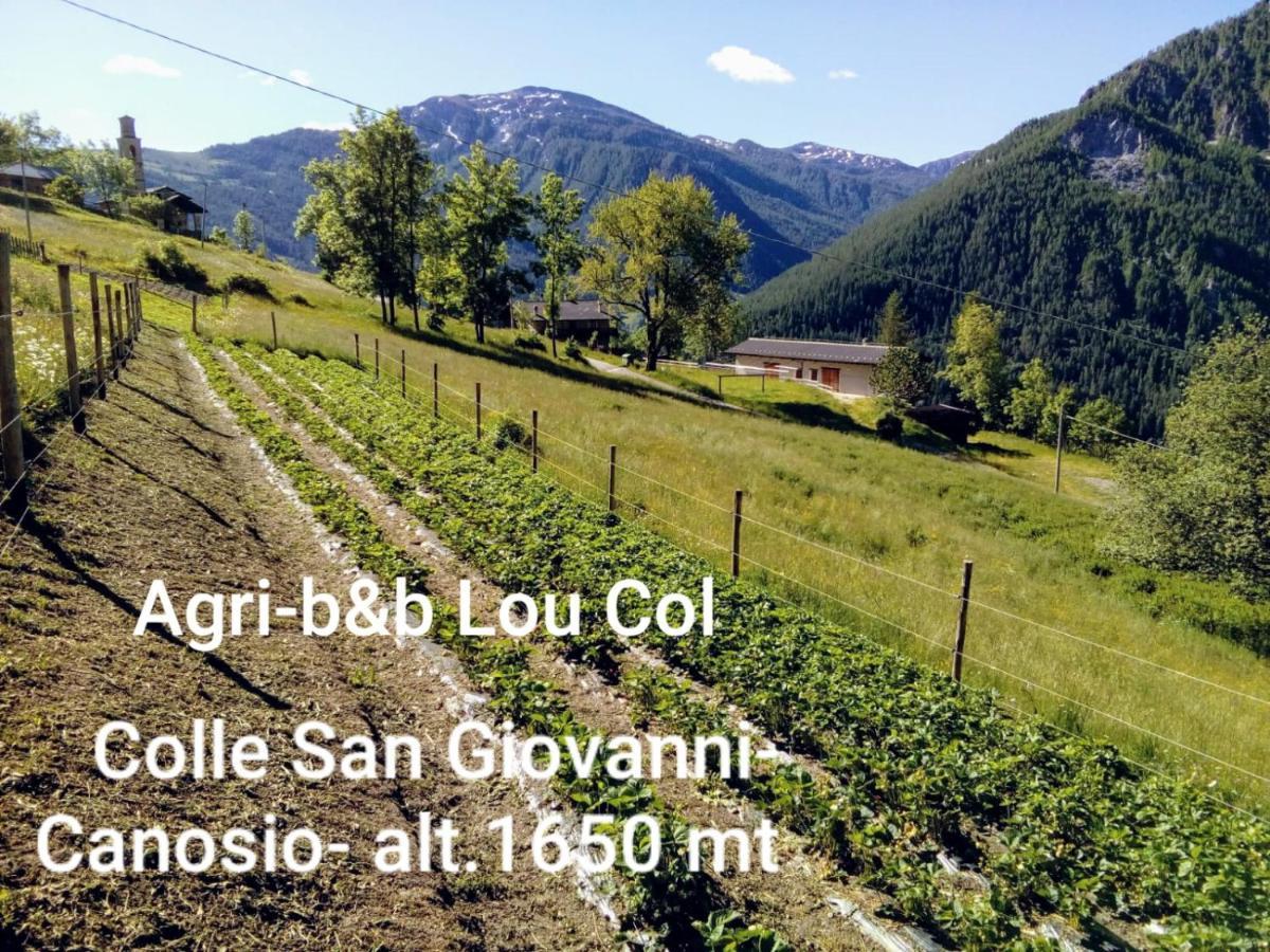 Agri-B&B Lou Col Canosio Экстерьер фото