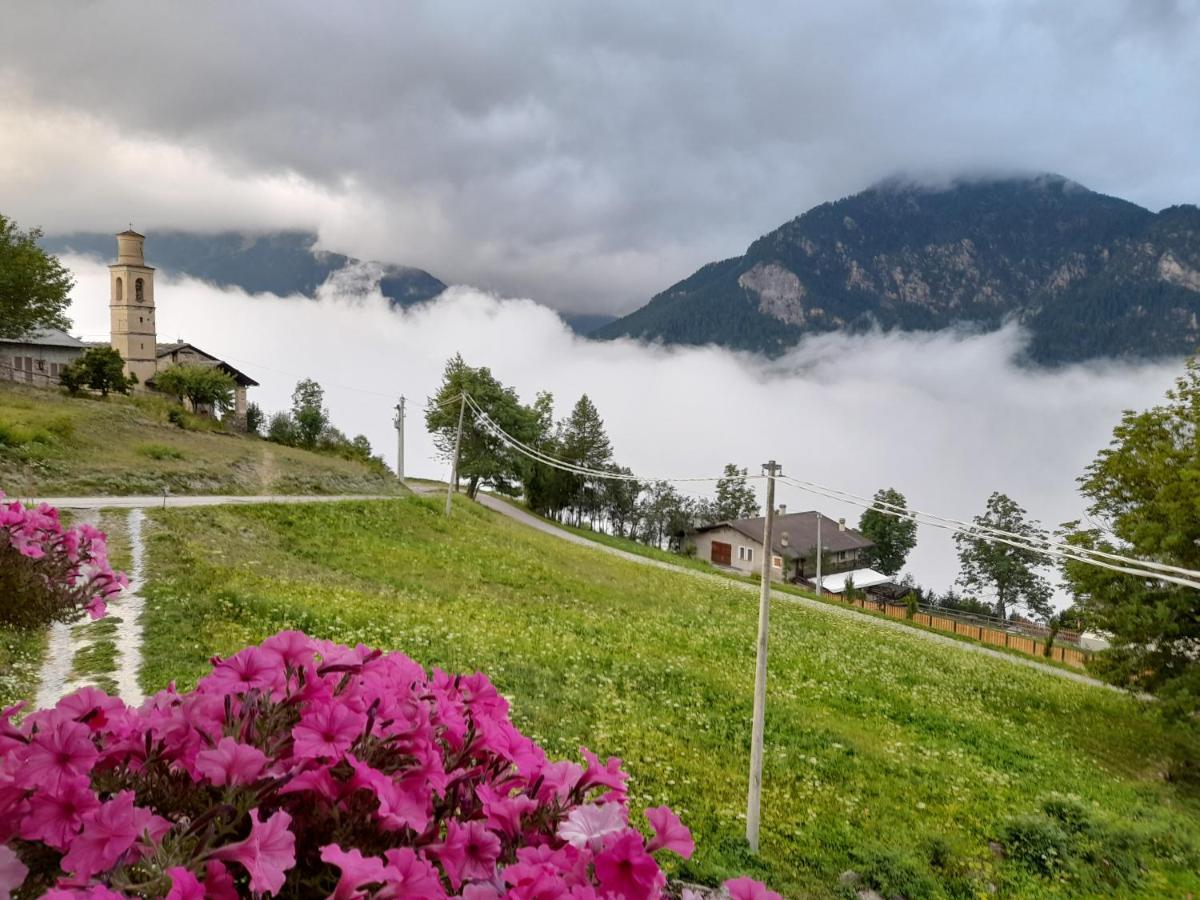 Agri-B&B Lou Col Canosio Экстерьер фото