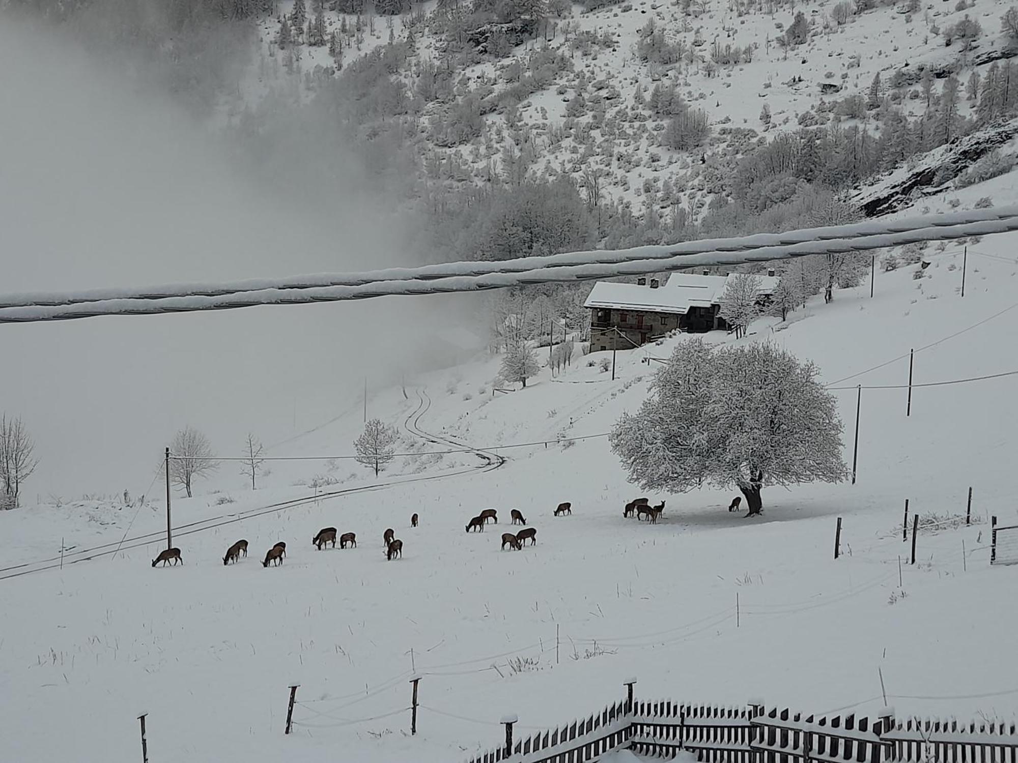 Agri-B&B Lou Col Canosio Экстерьер фото